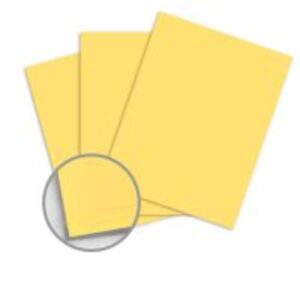 PAPER COPY COLOURED EAGLE L/S CANARY (YELLOW)