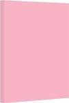 PAPER CARTRIDGE PAPERLINE 180GSM 22.5'' X 28.5'' (100 PER PK) PINK