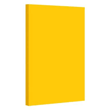 PAPER CARTRIDGE PAPERLINE 160GSM 22.5 X 28.5" (100 PER PK)) GOLD