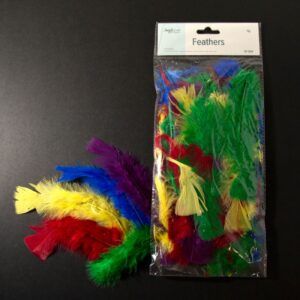 ART SUPPLIES FEATHERS ANGELS ..RD/BL/GRN/YELLOW