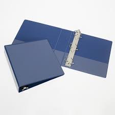 BINDER VIEW D RING 1'' BLUE